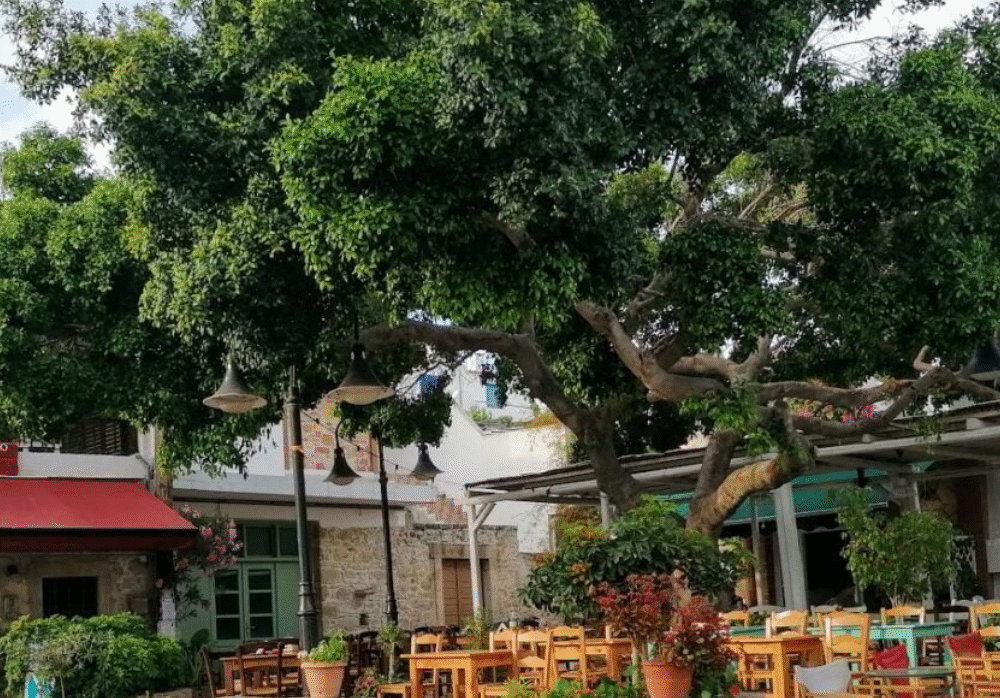 Το Πανηγύρι της Αγίας Πελαγίας – Παράδοση που Αντέχει στον Χρόνο